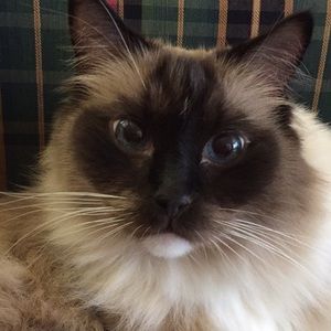 Meet your Posher, Marybeth